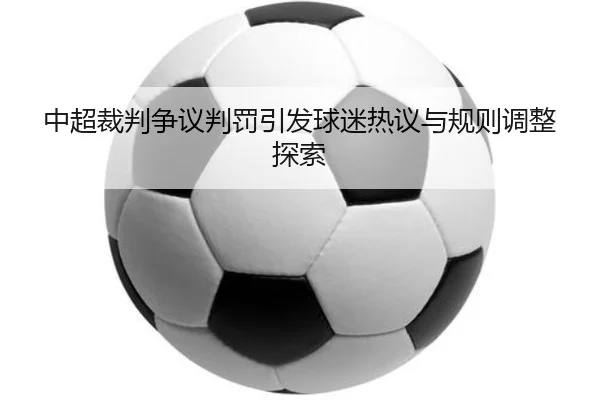 zhong-chao-cai-pan-zheng-yi-pan-fa-yin-fa-qiu-mi-re-yi-yu-gui-ze-tiao-zheng-tan-suo-2-481.jpg